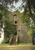 BF14533 Saarburg Germany Bergfried Der Saarburg Front/back Image - Saarburg