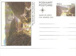 67541)  Cartolina Postale Da 14cent.paul Saver Dam.nuova. - Storia Postale