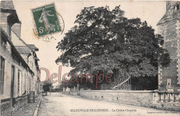 76 -  ALLOUVILLE BELLEFOSSE - Le Chêne Chapelle    -  écrite 1905  -  2 Scans - Allouville-Bellefosse