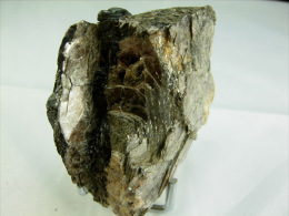 ZINNWALDITE ET MUSCOVITE 6, X 6, X 3 CM MAS BARBU - Minéraux