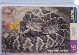 TC 84a VIPER URUGUAY REPTILES - VIBORA DE CASCABEL - CROTALUS DURISSUS - Uruguay