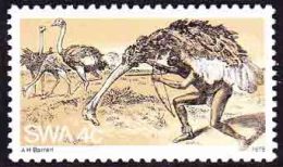 South West Africa SWA - 1978 - The Bushmen Hunting Ostriches, Ostrich - Struisvogels