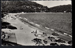 83 - CAVALIERE - VUE GENERALE SUR LA PLAGE ET LA BAIE - Cavalaire-sur-Mer