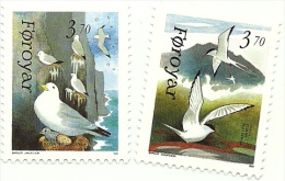 1991 - Faroer 213/14 Uccelli Marini     ----- - Marine Web-footed Birds