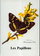 (Magasin) DELHAIZE « Les Papillons» : Album Complet - Albums & Katalogus