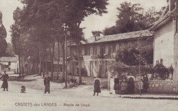 France - Landes - CASTETS DES LANDES - Route De Linxe - Carte Postale 40 - CPA   // - Castets
