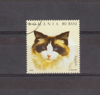 2006 - Chats Domestiques Mi No 6024 A  Et Yv No 5057 Ragdoli - Used Stamps