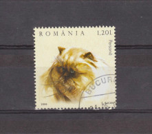2006 - Chats Domestiques Mi No 6026 A  Et Yv No 5059  Persan - Used Stamps