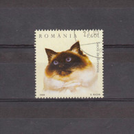 2006 - Chats Domestiques Mi No 6027 A  Et Yv No 5060  Sacré De Birmanie - Used Stamps
