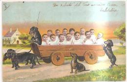69264)cartolina Umoristica Con Bambini Cani E Paesaggio Autore TH BAVERWIEN-VII VIAGGIATA - Collections, Lots & Series
