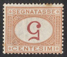 ITALIA  - REGNO SEGNATASSE 5 C OCRE E CARMINO - ERRORE - Cifra CAPOVOLTE  -  Senz.gomma +punto Giallo -  1870-1874 - Postage Due