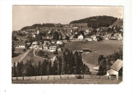 CPA Suisse - Teufen : Mit Frohe Aussicht - Fernblick U. Fröhlichsegg : Champs - Vue Générale - Relief ... - Egg