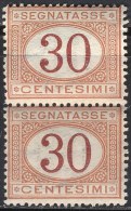 ITALIA  - REGNO SEGNATASSE 30 C OCRE E CARMINO - PAIR  -  **MNH -  1870-1874 - Postage Due