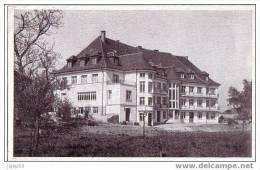 Wittenheim - école Ménagère Don Bosco - Côté Jardin - Wittenheim