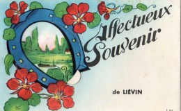 AFFECTUEUX SOUVENIR DE LIEVIN CARTE A SYSTEME - Lievin