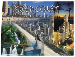 (PF 196) Australia - QLD - Gold Coast And Dolphins - Gold Coast