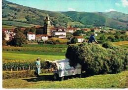 CPSM 64 AINHOA Village Type Du Pays Basque Attelage  Agriculteurs   - Couleurs  Grand  Format Voyagée 1968-Paypal Sans F - Ainhoa