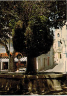 Le Beausset Fontaine De La Place - Le Beausset