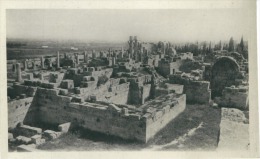 CP Algérie Tébessa Vue Générale De La Basilique - Tebessa