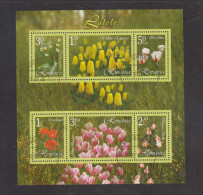 2006 -  Tulipes  Mi No Block 373 - Oblitérés