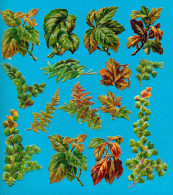 LOT  15, FOLIAGE, VICTORIAN SCRAP,  DECOUPIS ANCIENS GAUFRE,  FEUILLAGE, NEAR MINT COND, BIGGEST Ca  5  X  12 Cm - Fleurs