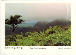 Guadeloupe  Les Deux Mamelles  Montagnes De La Basse-terre Photo Alexis Boisdebout  TBE - Basse Terre