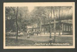 SAALFELD  HOTEL FRIEDENSHÖHE  , OLD POSTCARD, 0 - Saalfeld