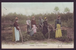 FRANCE 40 - LANDES - Taillage De La Bruyère - Paysans - Arjusanx - CPA - Carte Postale // - Morcenx