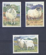 Ireland - 1991 Irish Sheep MNH__(TH-2070) - Nuevos