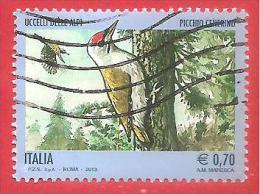 ITALIA REPUBBLICA USATO - 2013 - Uccelli Delle Alpi - Picchio Cenerino - € 0,70 - S. ----- - 2011-20: Gebraucht