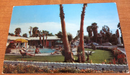Phoenix AZ Motel Inn Pool Girl Seminude Guys 1950s Cars Scenic Roadside Postcard - Phoenix