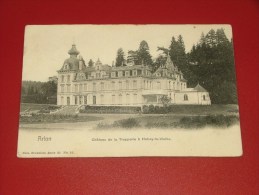 HABAY LA VIEILLE   -  Le Château De La Trapperie  -  1903   -  (2 Scans) - Habay