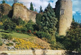 BF14910 Thouars D S Les Vieux Remparts  France Front/back Image - Thouars