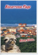 Delcampe - Biscarosse Plage Bisous Bisous... La Côte  N°2169 Calper - Dromadaire Chameau - Biscarrosse