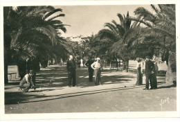 CPSM 83 BANDOL  JOUEURS DE PETANQUE LES PALMIERS BEAU PLAN - Petanca