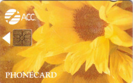 GB UK ACC 25U CAMBRIDGE SUNFLOWER TOURNESOL UT SUPERBE - [ 8] Ediciones De Empresas