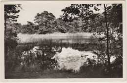 Oisterwijk  - Bosvijver  (Hotel  'Klein Spijck')   - Nederland/Holland - Autres & Non Classés