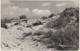 Hoogerheide: Duinen  - 1962  - Nederland/Holland - Autres & Non Classés