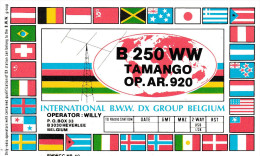 QSL COLLECTOR CARD INTERNATIONAL B.W.W. DX GROUP CLUBCARD BWWCC # 40  " B 250 WW TAMANGO " HEVERLEE - BELGIUM - Autres & Non Classés