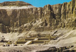 CPM Louxor, Deir El Bahari : Temple De Hatchepsout - Louxor