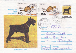 DOGS` EXHIBITION,  POSTAL STAIONERY, 1997, ROMANIA - Cartas & Documentos