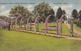 Beardsley Park Showing Botanical Gardens Bridgeport Connecticut 1950 - Bridgeport