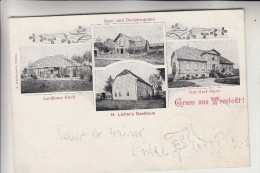 3114 WRESTEDT, Landhaus Ebell, Spar-und Darlehnskasse, Lichte's Gasthaus, Gut Graf Gote, 1904 - Uelzen