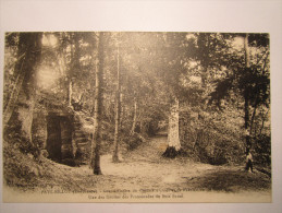 FAYL BILLOT Une  Des Grottes Des Promenades Du Bois Banal - Fayl-Billot