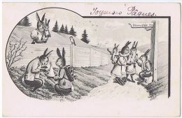 1900s DRESSED RABBITS  POSTCARD - SERIES 726 - Unclassified