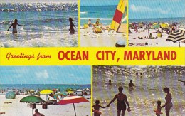 Greetings From Ocean City Maryland - Ocean City