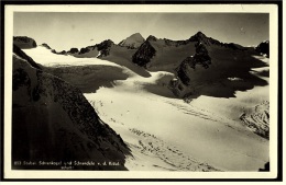 Stubai / Tirol  -  Schrankogel Und Schrandele V. D. Käulscharte  -  Ansichtskarte Ca.1930    (3159) - Neustift Im Stubaital
