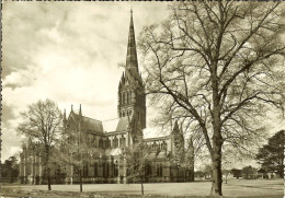 CP De SALISBURY " Cathedral " . - Salisbury