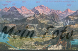 Panoramakarte Mit Kühe Gsteigwiler Interlaken Magd Tracht Um 1930 Schild-Bichsel - Gsteig Bei Gstaad