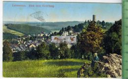 Lobenstein Blick Vom Kirchberg- 1911, -Verlag:  P. König, Lobenstein, POSTKARTE Mit Frankatur, Mit Stempel LOBENSTEIN - Lobenstein